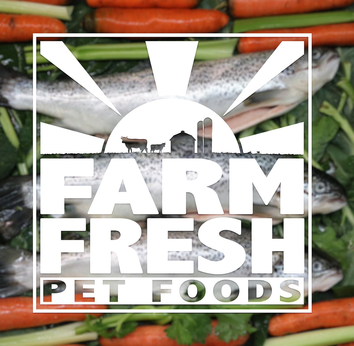 FarmFreshPet1's tweet photo. #madefreshtoday a batch of Salmon Yam’n. #freshsalmon straight from the amazing
#localfarms of @BluehouseSalmon 
Nothing but the best quality ingredients for our #furryfriends.
Order today at our website https://t.co/leMq5MqbaH https://t.co/g0PIodMbCu
