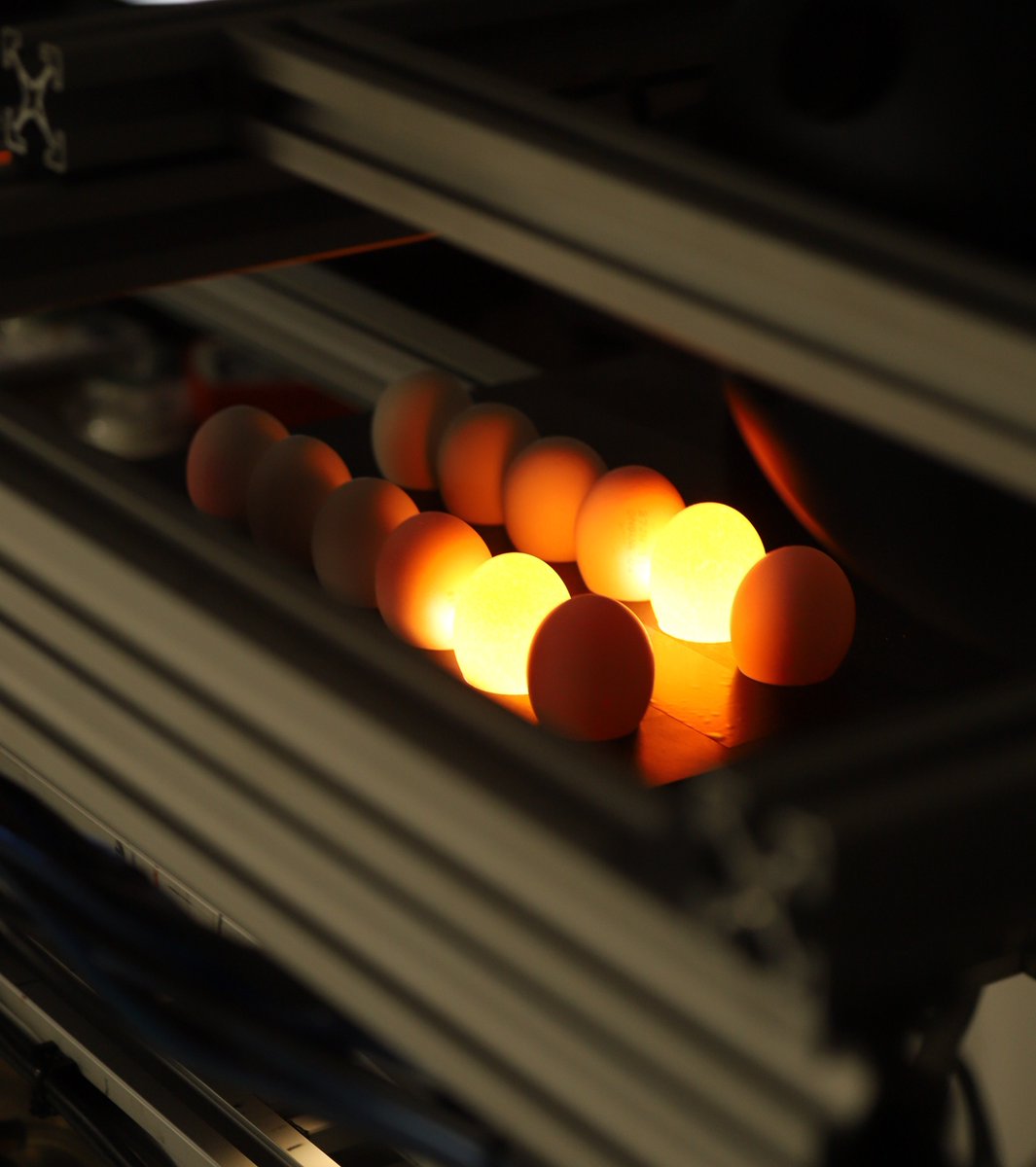 AgriCanadian's tweet image. @AgriCanadian has launched a 9-part series on the #agtech #research &amp;amp; #innovation we fund. First project, MatrixSpec's Optimizing Hyper-Eye, will improve the viability, sustainability and workplace conditions of #egg facilities. Read the story at caain.ca/our-projects/o…