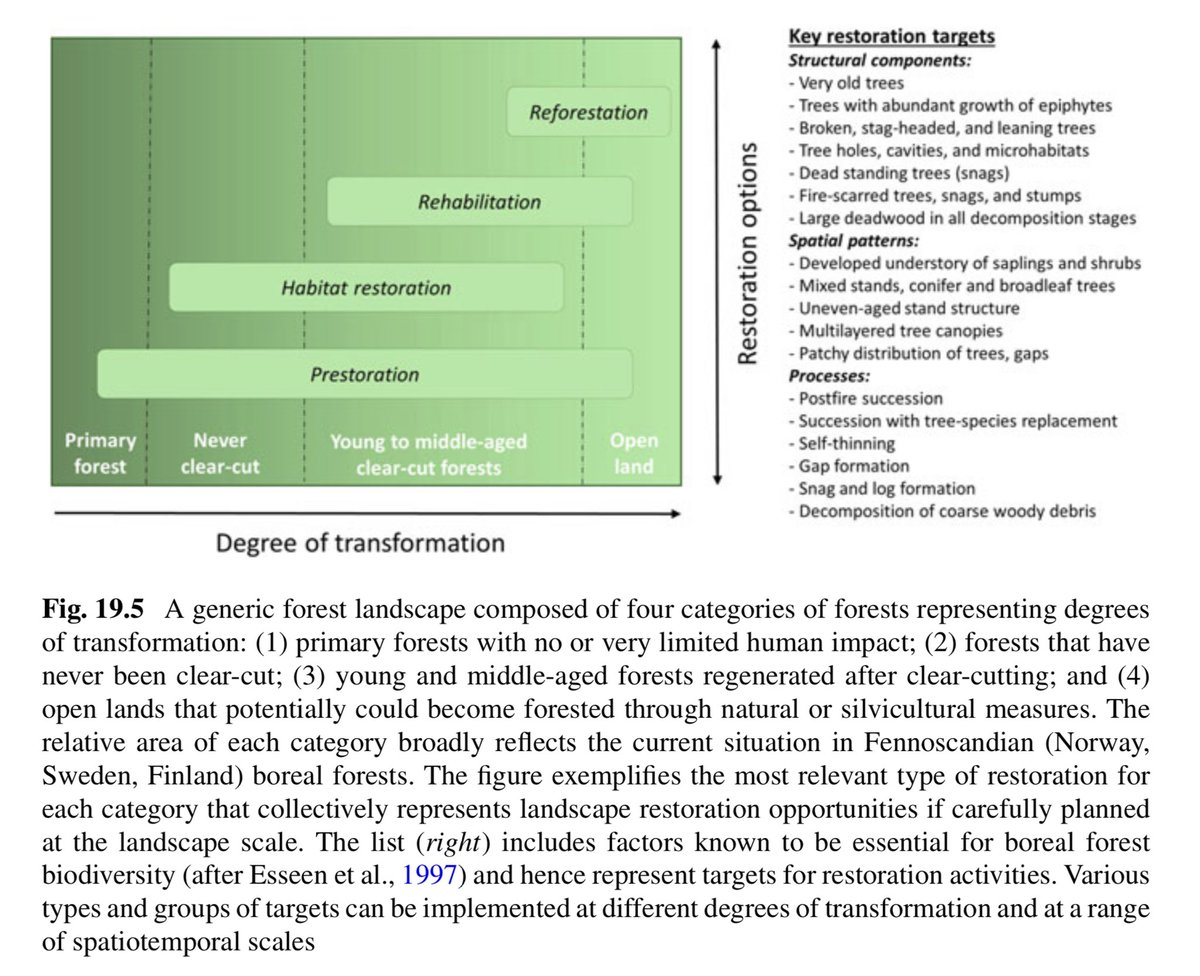 Forest management must incorporate past, present and expected future conditions! 📜

Chap. 19 introduces #Prestoration, a restoration approach which relies on multiple spatiotemporal scales!

Read here: 
link.springer.com/chapter/10.100…
✏️Johan Svensson &amp; Bengt Gunnar Jonsson