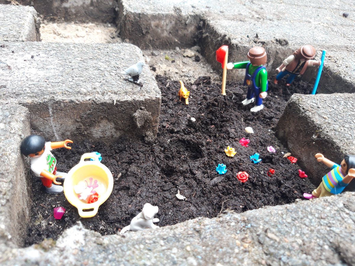 BAPitzemburg's tweet image. Vandaag zijn onze leerlingen van OV4 type 9 gestart met het #VlaamsKampioenschapTegelwippen op campus Tesse. @GO_onderwijs #helemaalGO @StadMechelen #2800love @SDGsInSchools
#SDG4 #SDG13 #SDG15 #artistiekevorming