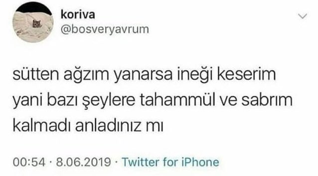Yengeç Burcu;