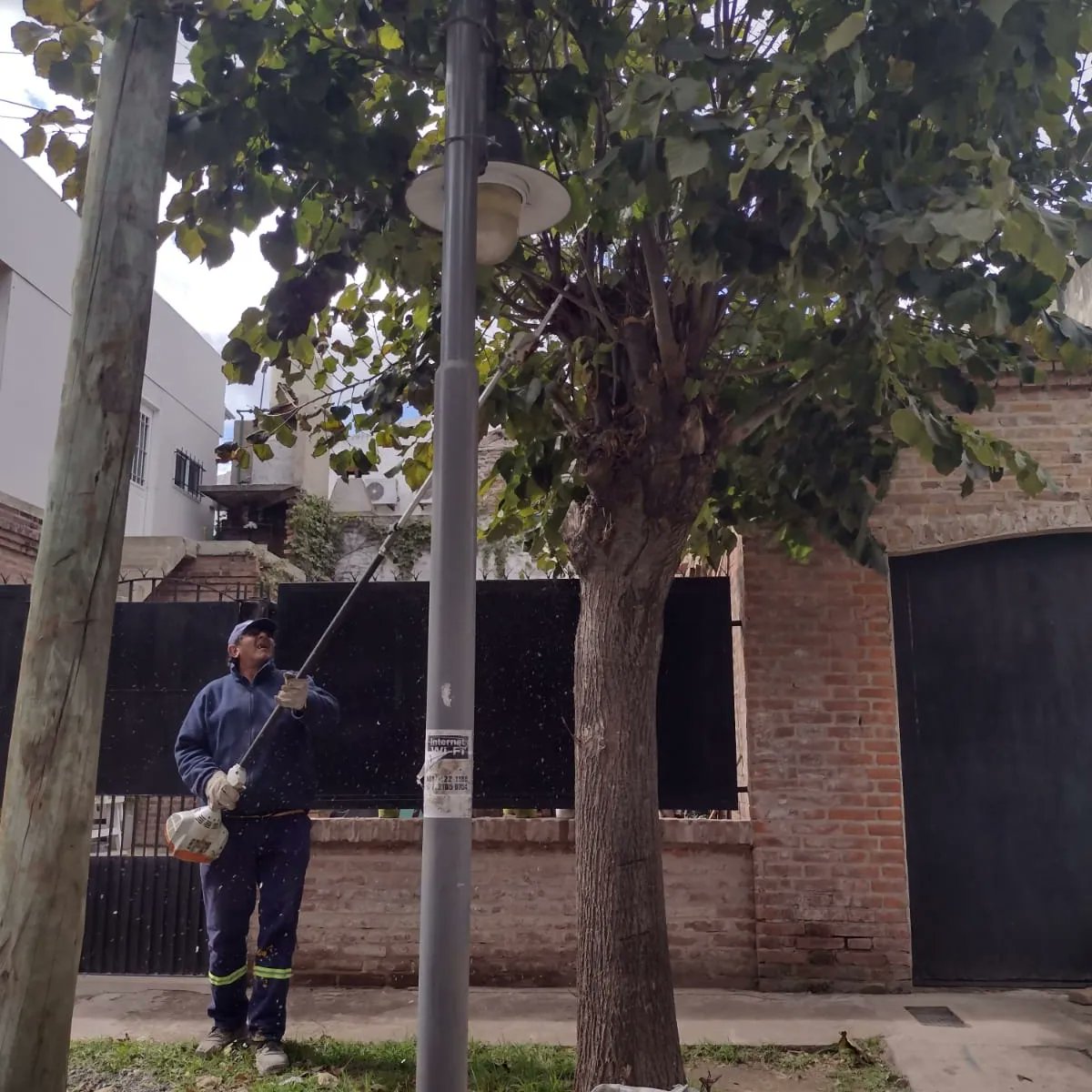 QueLindaMiCiuda's tweet photo. ๐๐๐๐๐๐๐ ๐๐ ๐๐๐๐๐ ๐๐๐๐
Realizamos el despeje preventivo de cerco vivo y luminarias en #TalarCentro
Consultas al โ๏ธ 11 6010 2550
De ๐ 08:00 a 16:00 hs.
#TigreEsMiVida
Julio Zamora https://t.co/A2tt8LkTJN