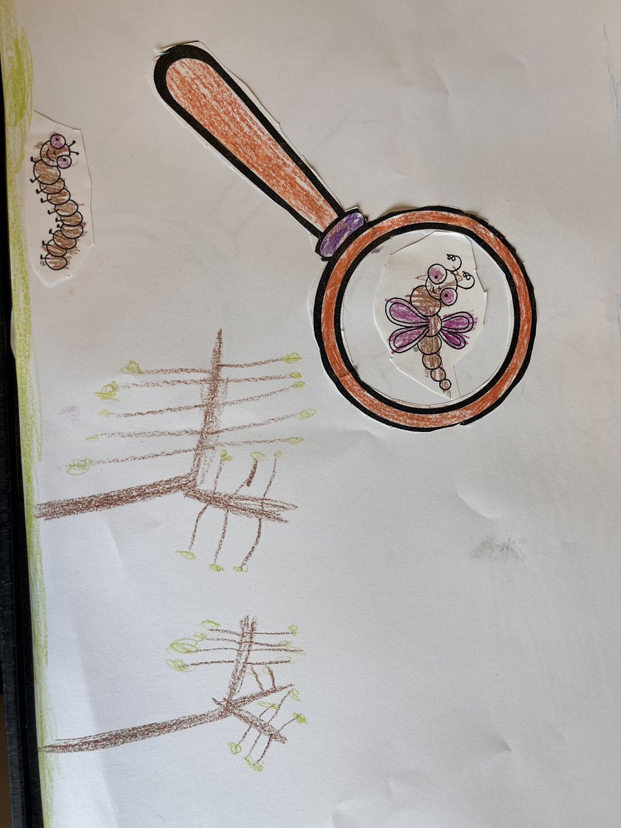 stephanieljacob's tweet photo. Syring students are drawing and investigating bugs and insects! @SyringDragons https://t.co/yrwkoGVzhg