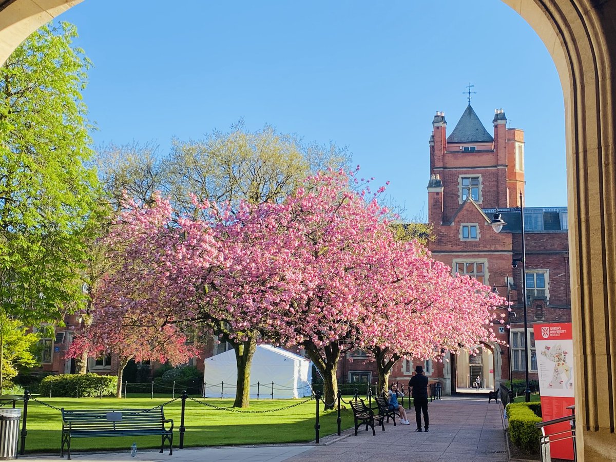 A walk through #QueensUniversity #QUB #Belfast on a blooming lovely evening #blossoms