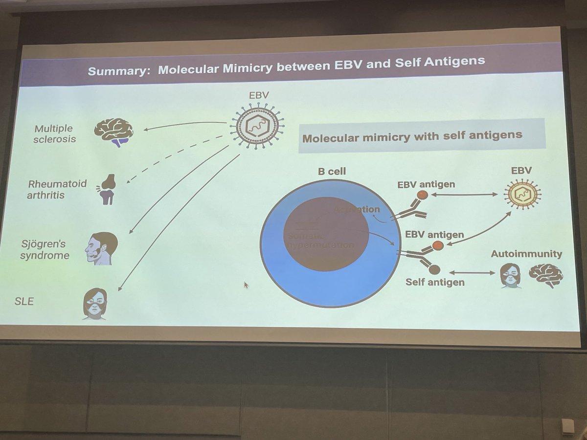 Anna Gloyn tweet media