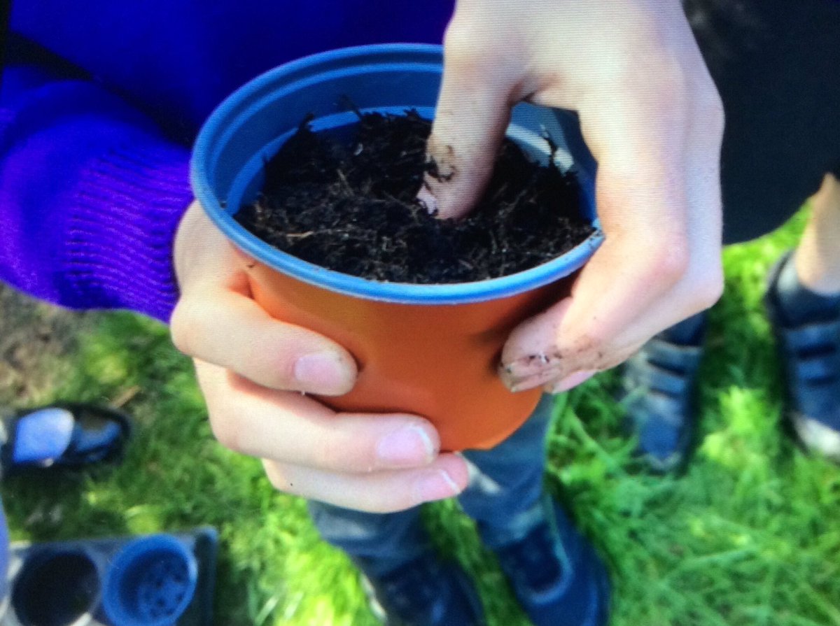 Hall Meadow Primary School tweet media