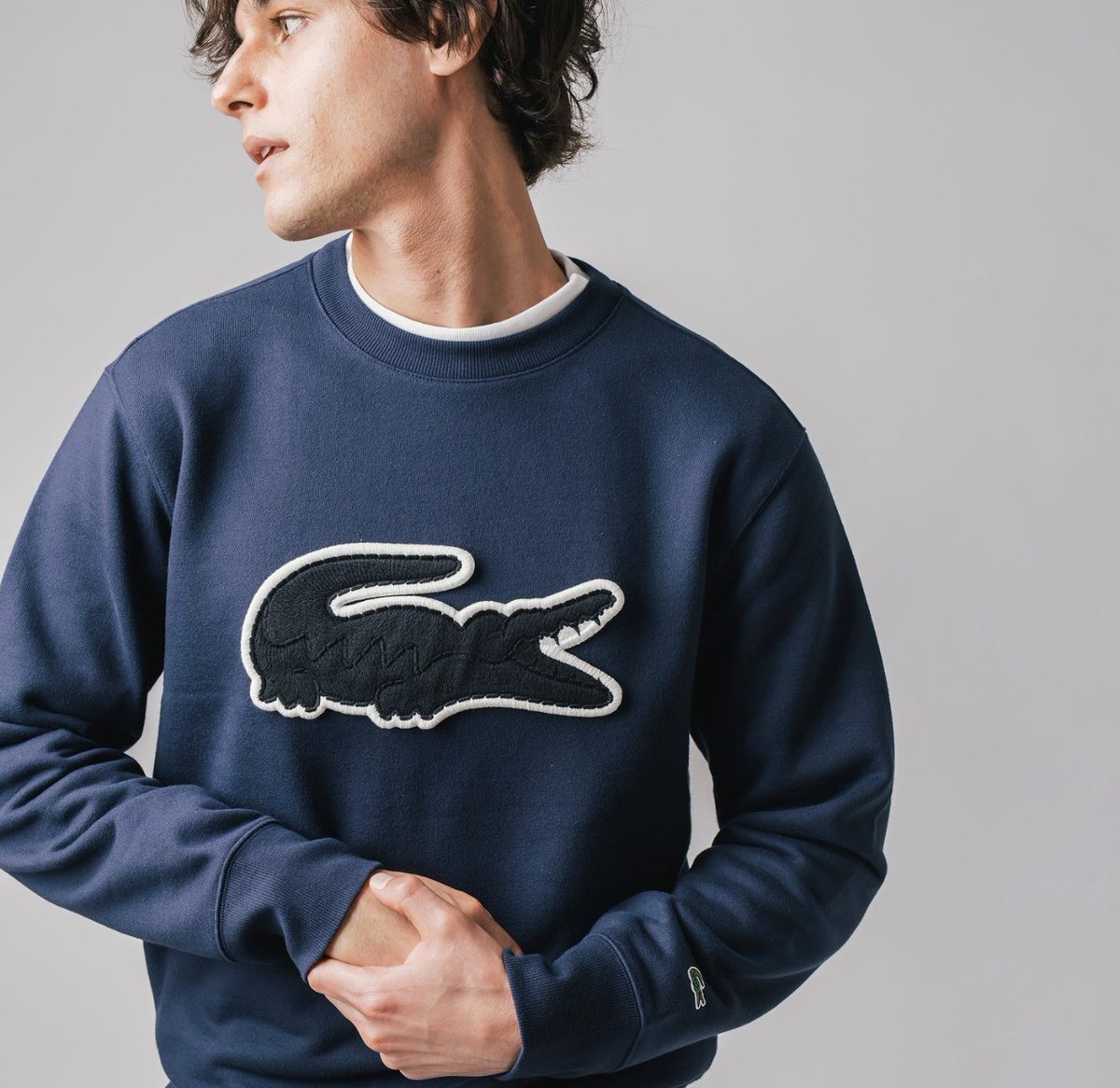 gotojun's tweet image. ラコステのワニがどこまでデカくなるのか昔から注目してるんやけど順調で安心した