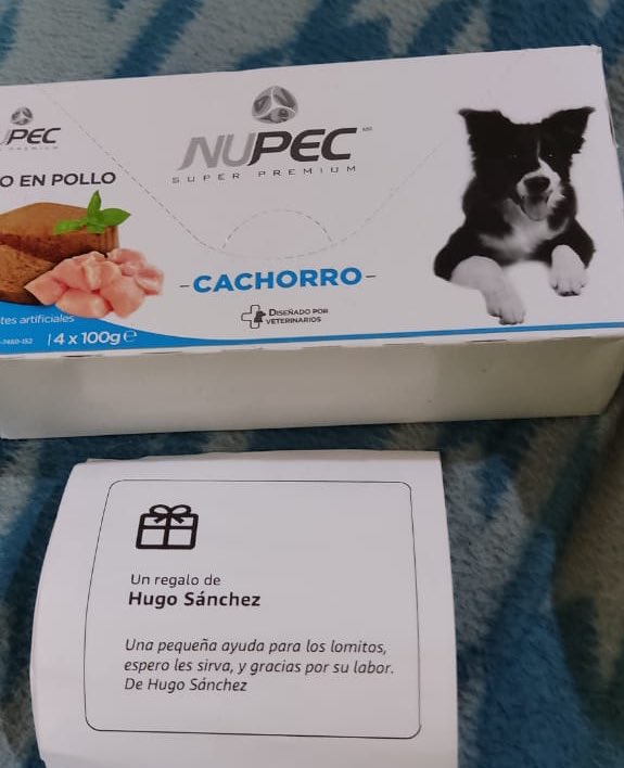HELA_MORE's tweet photo. Mila manda las gracias por su apoyo con sus latitas,mañana viene para fotos 🩷
Recuerden que ya pueden ir preguntando por ella para adoptarla🩵 https://t.co/3t7owIwNyX