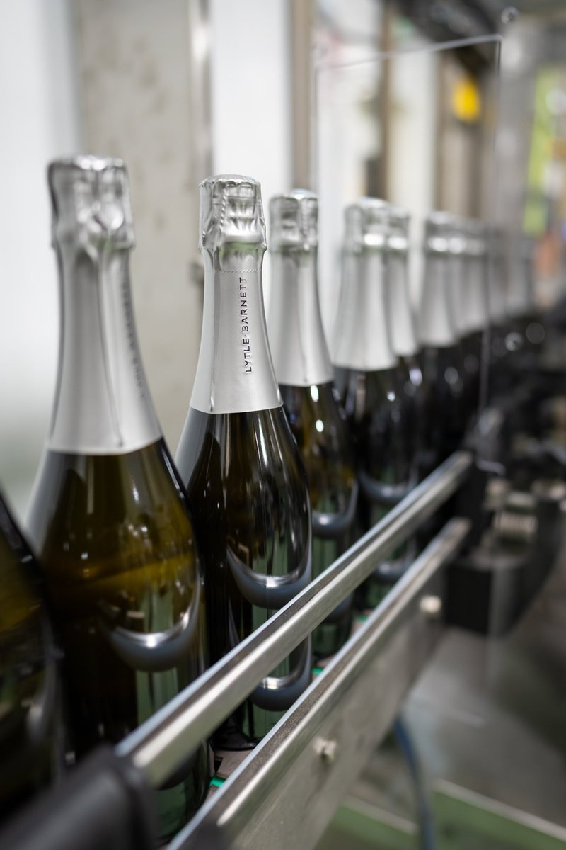 We are excited to have just finished with disgorgement, dosage and labeling of our upcoming releases of Lytle-Barnett.  We are going into our 11th vintage this harvest! Time sure does fly when you’re having fun!

Shop our vintage only sparkling wines from the Willamette Valley!