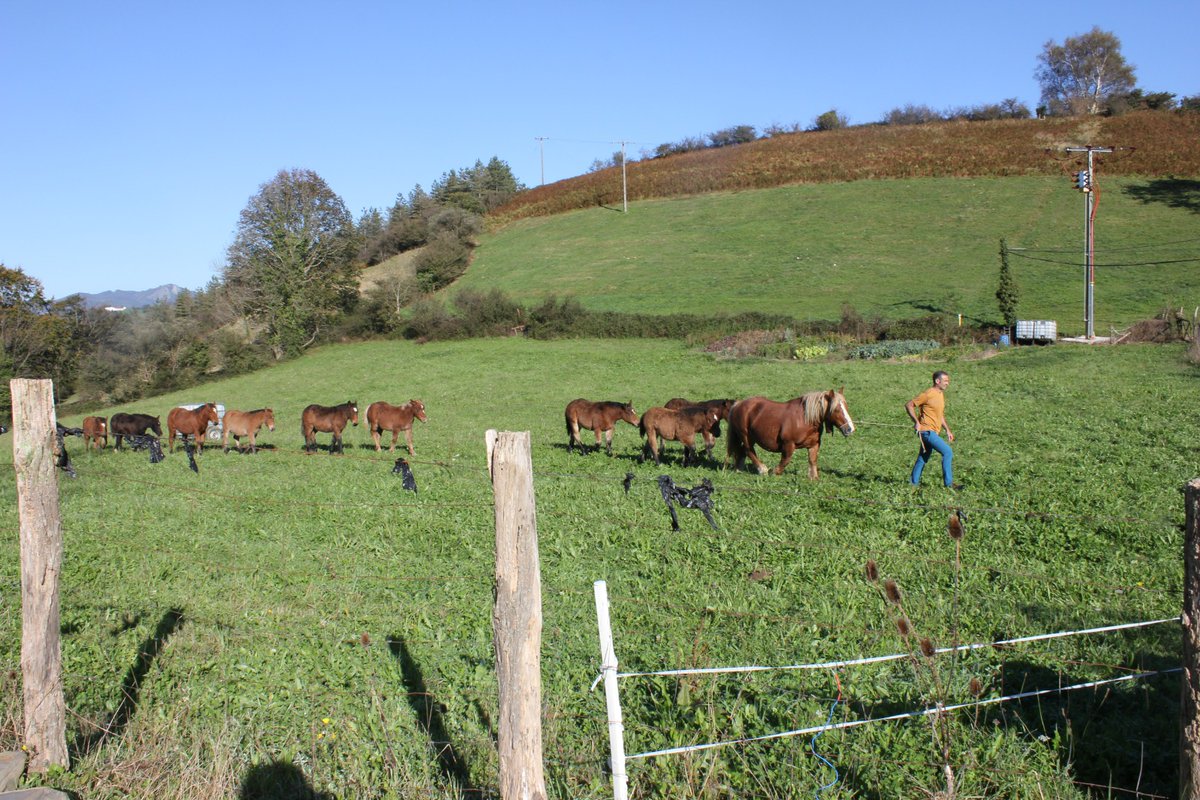 📡Los satélites de <a href="/Hispasat/">Hispasat</a> proporcionan internet en zonas rurales

🍞"Gracias a tener una buena conexión podemos tener la empresa en Palazuelos": Carlos Moreno, socio de <a href="/Despelta/">La Espelta Y La Sal</a>, en #Guadalajara

👇
🔴DIRECTO rtve.es/play/radio/
▶️PODCAST rtve.es/play/audios/po…
