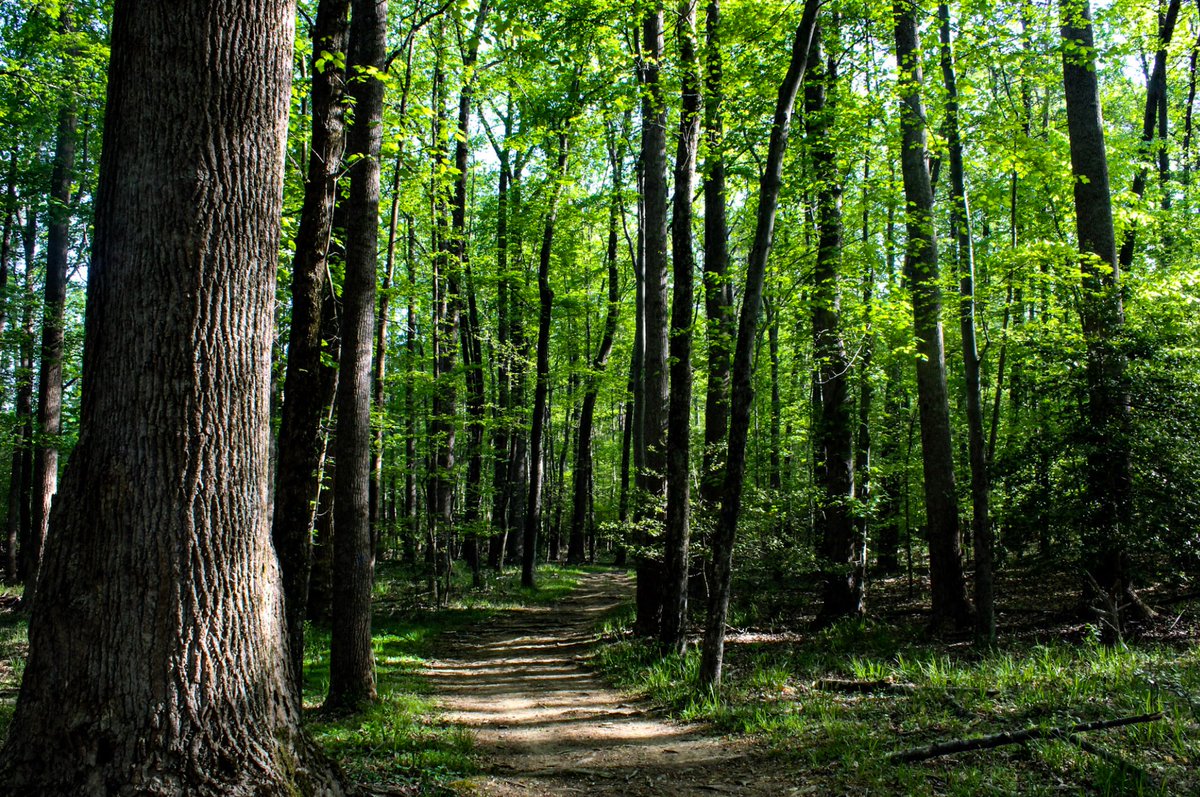 Mr. Nance tweet media