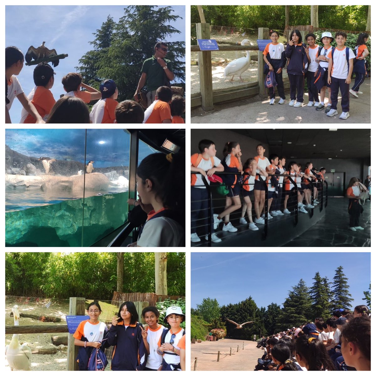 Los alumnos de #5EP han pasado el día en @parquefaunia. Vuelven con experiencias vividas y aprendizajes memorables sobre las diferentes especies animales y sus hábitats!
