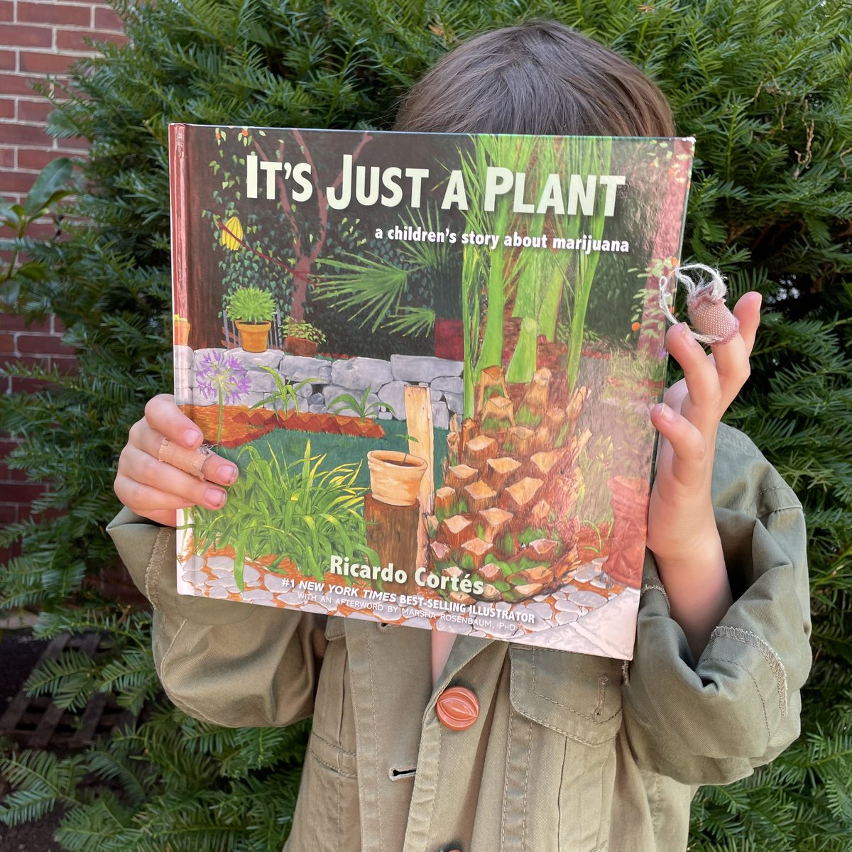 A Children’s Book about Marijuana tweet media