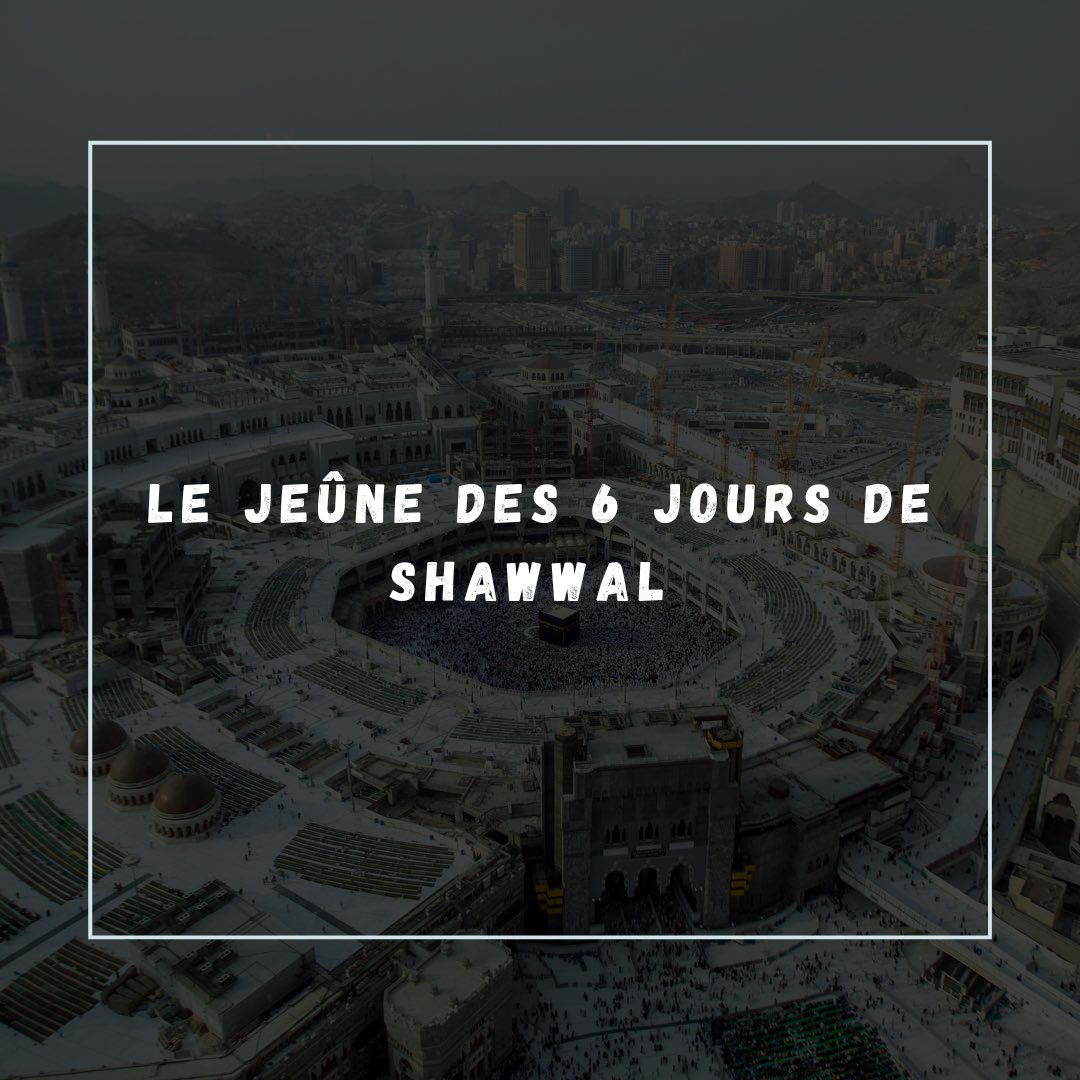 عمر أبو بنت عمر tweet media