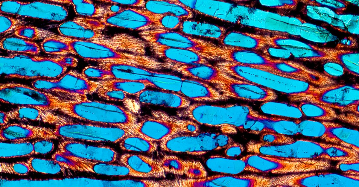 QuantaMagazine's tweet photo. Scientists have found that gamma radiation could help cook the simple molecules and ice inside asteroids into amino acids, an essential component of life. https://t.co/MG7DggOeYO https://t.co/rps7c2onuZ