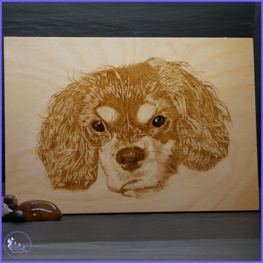 IantheGalleria's tweet image. W - Wood.
We offer premade Pyrography items, Pet Pyrography Portraits &amp;amp; even custom orders. All details can be found on the website.
ianthegalleria.co.uk/.../cat_1677940...
#AMZart #AprilAlphabetChallenge #AlphabetChallenge #Pyrography  #NationalPetMonth #UKGiftHour #ukweekendhour #ukgiftam