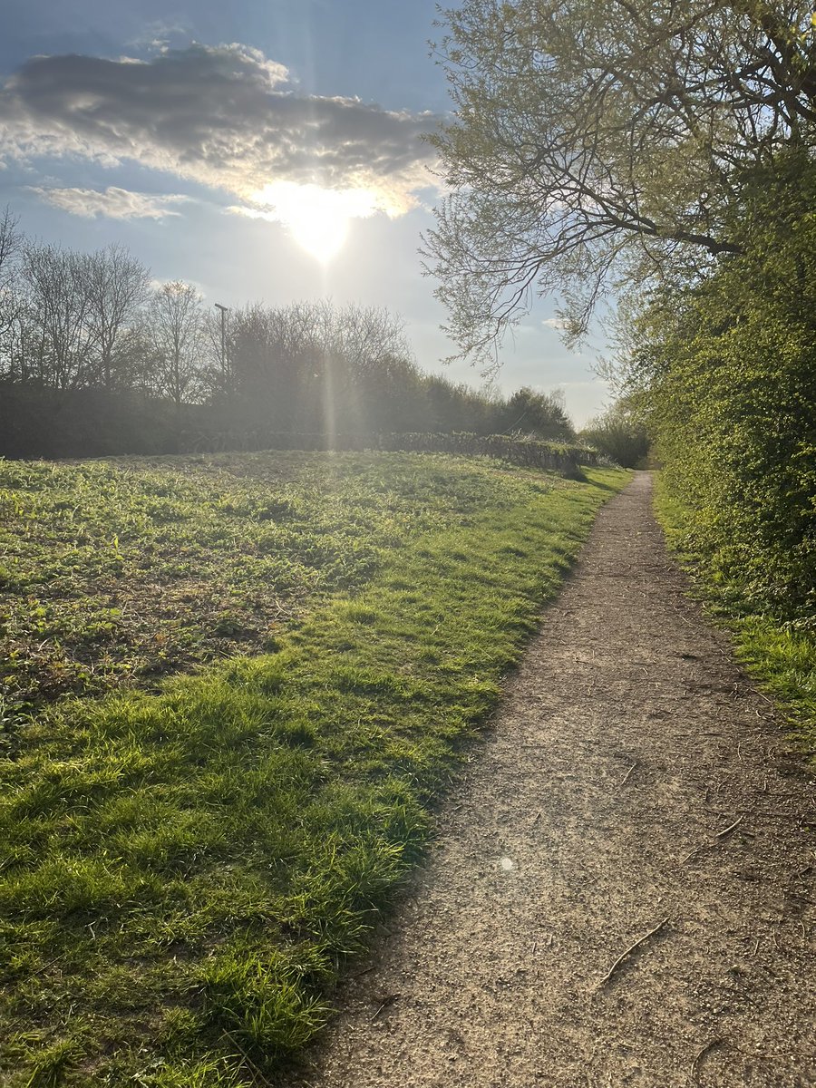 WorkingMummyof1's tweet photo. Last thing I wanted to do after being up since 4am but so glad I did! Such a gorgeous evening for a 🏃‍♀️with the 🦮who is equally happy to be out! https://t.co/tfPsQw2gzt