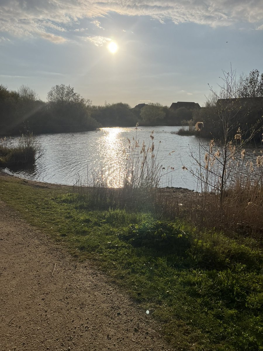 WorkingMummyof1's tweet photo. Last thing I wanted to do after being up since 4am but so glad I did! Such a gorgeous evening for a 🏃‍♀️with the 🦮who is equally happy to be out! https://t.co/tfPsQw2gzt
