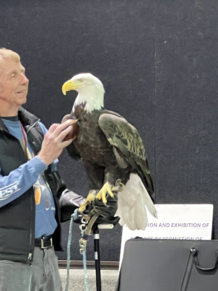 LPELeaders's tweet photo. LPE 5th and 3rd graders enjoyed an amazing on site field trip from Hawk Quest this morning . https://t.co/QUPSymX8it