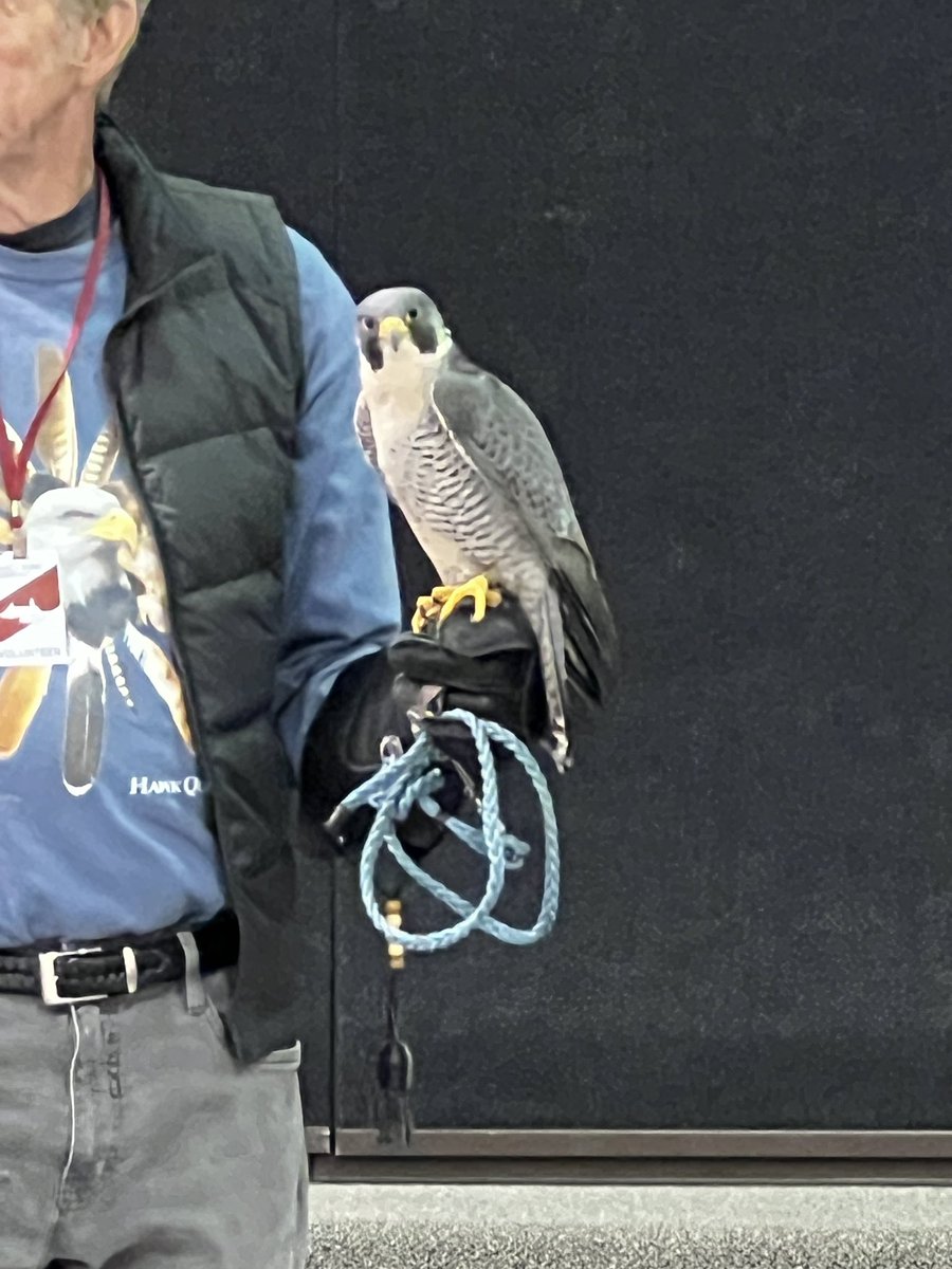 LPELeaders's tweet photo. LPE 5th and 3rd graders enjoyed an amazing on site field trip from Hawk Quest this morning . https://t.co/QUPSymX8it