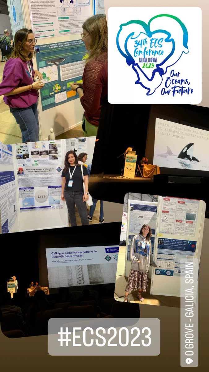 Filipa Samarra tweet media