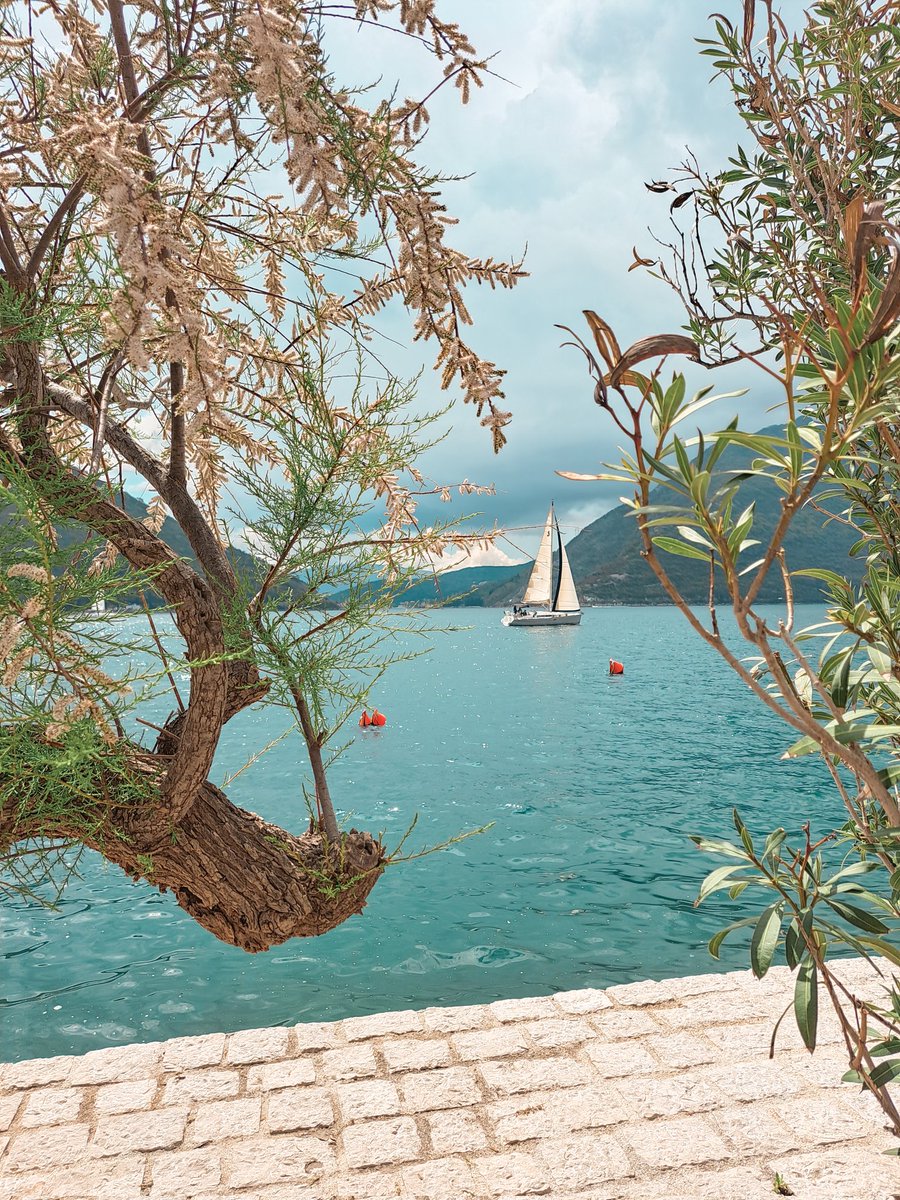 cvet_marijana's tweet photo. Perast u proleće je od danas moje omiljeno mesto na svetu 🫶 https://t.co/2nJ5OVKxMi