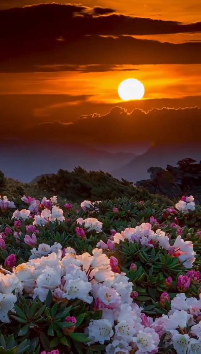 GN/Good evening!!
