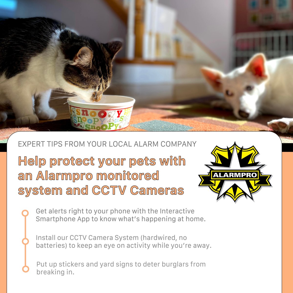 AlarmProInc's tweet photo. Today is National Adopt a Shelter Pet Day! Make sure your furry friends are protected.
#palmcoast #palmcoastfl #flaglerbeach #flaglercounty #ormond #ormondbeach #ormondbythesea #volusiacounty #stjohnscounty #staugustine #daytona #daytonabeach #bunnellfl #newsymrna #portorange https://t.co/9YxSnrhmlM