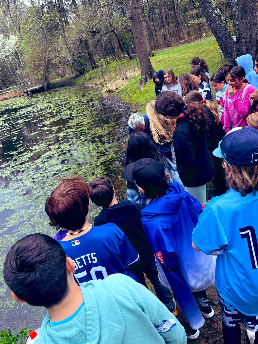arbucci_sarah's tweet photo. A fabulous field trip to the @CTAudubon Society in Fairfield for hands on learning about ecosystems! 🐛🦎🦉@WPSCMSocial #wiltonwayct #cidermillway https://t.co/Z8cnh2RCkU