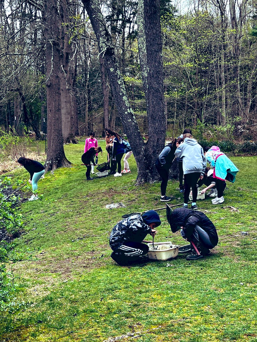 arbucci_sarah's tweet photo. A fabulous field trip to the @CTAudubon Society in Fairfield for hands on learning about ecosystems! 🐛🦎🦉@WPSCMSocial #wiltonwayct #cidermillway https://t.co/Z8cnh2RCkU