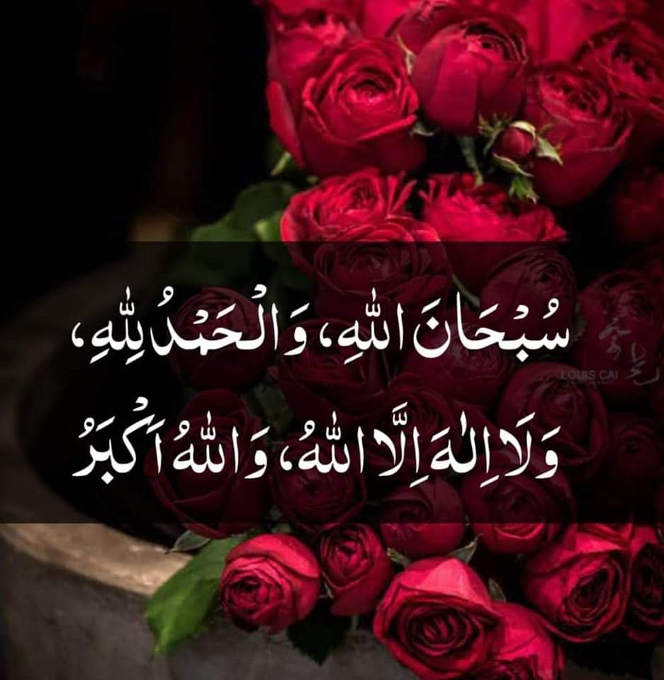 MuhammedIrfanr2's tweet photo. https://t.co/IHGOUalGV1