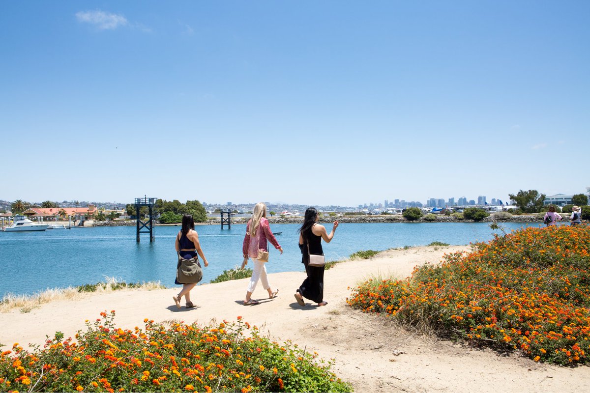 SDlifechanging's tweet photo. In our life-changing era.

📍 Point Loma, CA
#SDlifechanging https://t.co/4TWJqae9dL