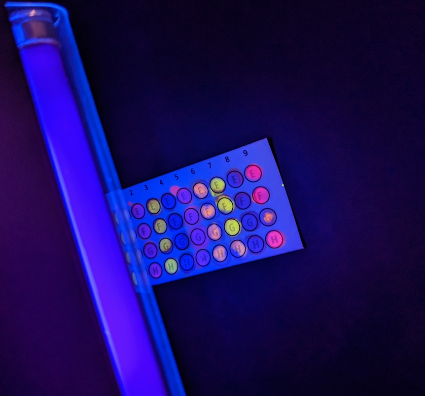 Rklick14's tweet photo. Great lab results this week!! Students in MI viewed cancer cells and performed a DNA Microarray to determine which genes should be studied further. @PLTWorg @ShakopeeSchools @SHS_HealthSci @SHSAcademies @edvotek https://t.co/yWBES0ysSH