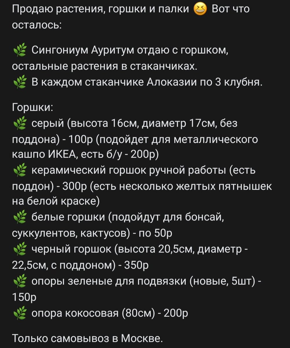 Kit (Ryu) 🐅 tweet media