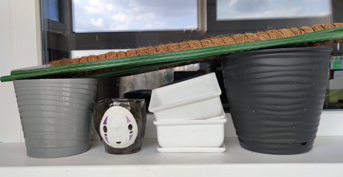 Kit (Ryu) 🐅 tweet media