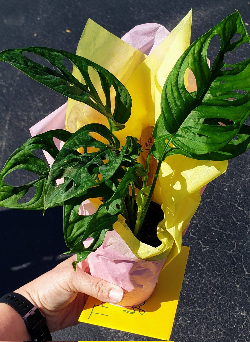 Tricia Cunningham tweet media