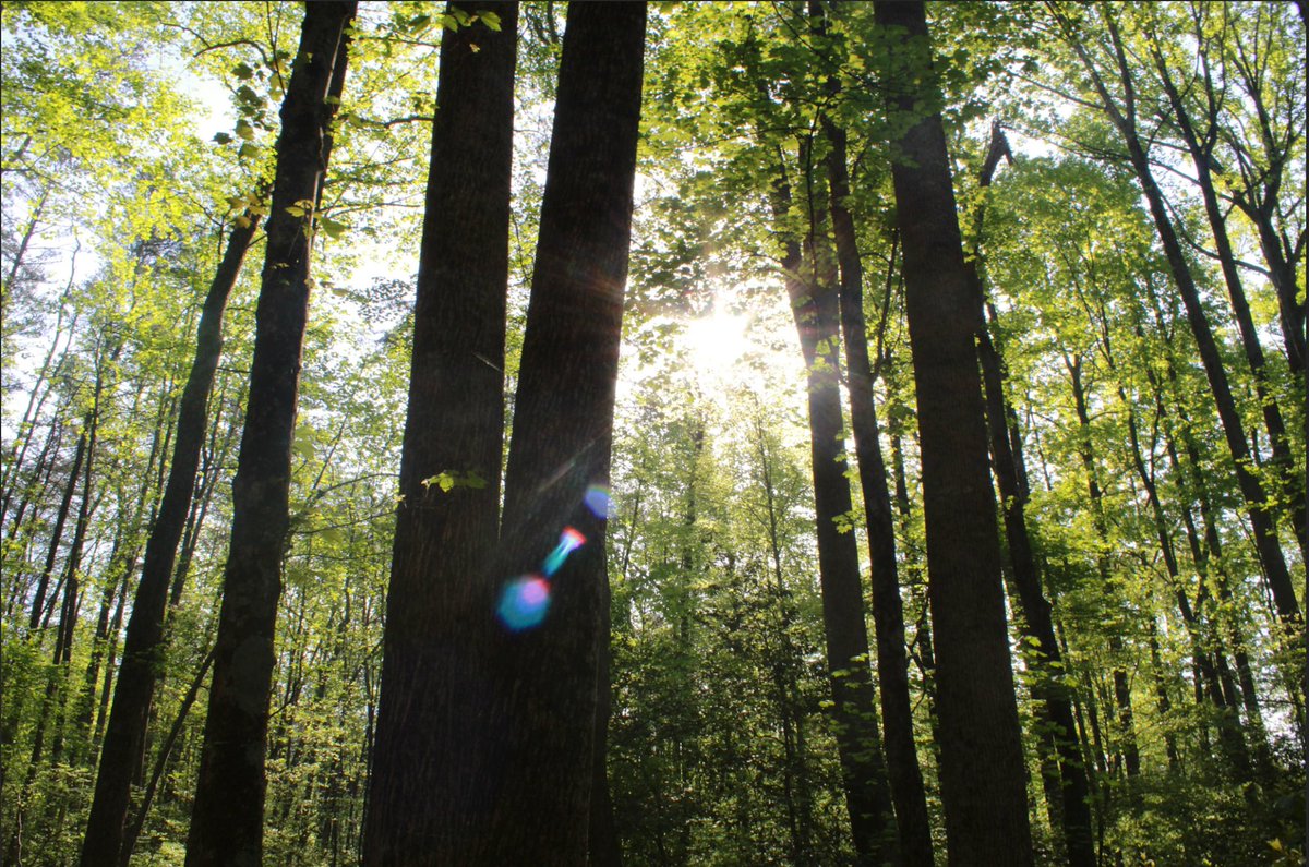 Mr. Nance tweet media