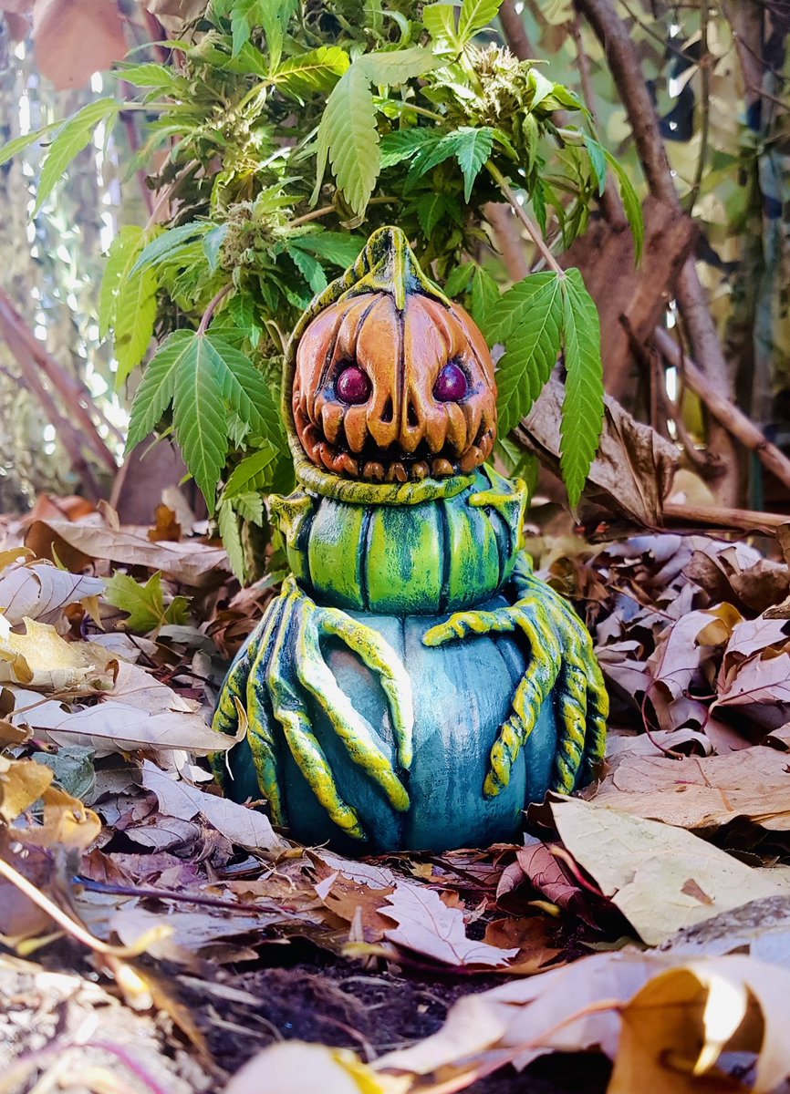 RevenantFX's tweet photo. 🍃🎃Have A Spooky 420 Y’all!! May Your Lettuce Be Electric &amp; Plentiful!⚡️🥬😜🤘🏻🍃

#Happy420 #420day #Pumpkins #Spookyart #Pumpkinspice #MaryJane #PumpkinspiceEeriething #EverydayisHalloween #Halloweeneveryday #Spookyartists https://t.co/jvCY0ruO3q