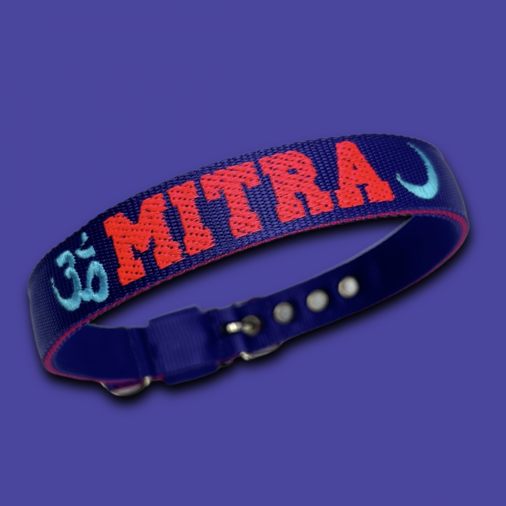 EvilCollar's tweet photo. Celebra la bellezza del tuo Cane in modi unici e speciali con i nostri distintivi ed eleganti collari, tutti dotati di molte opzioni di customizzazione!! https://t.co/Vz6saNbQ0E https://t.co/IbZWAPHUMs