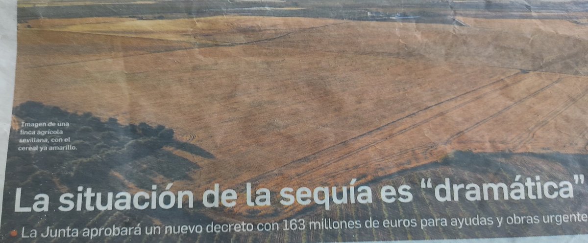 sostenibleyverd's tweet photo. ◾Cuando un #Alcalde sabe de la gravedad #Climatica y #MedioAmbiental que se está sufriendo y NO TOMA MEDIDAS para PROTEGER a su población es #Responsable #Moral y #Eticamente del sufrimiento de ella
◾Muy pronto será #Penal por haberla dejado #INDEFENSA y #DESPROTEGIDA https://t.co/0JbCJvo5fK