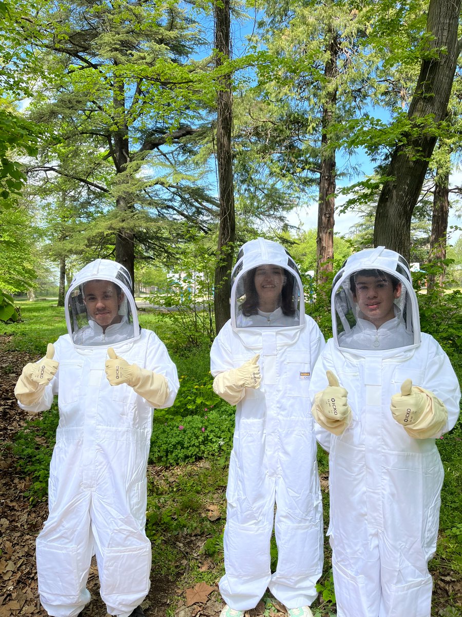 CGardonnenque's tweet photo. 🐝Semaine autour du monde des abeilles.
⁉️ Co-intervention en #EIST en 6ème (vie de la ruche, alimentation et biodiversité)
🔎Séance découverte de la ruche du collège (première visite avec les élèves, 🎦suivie en direct en visio par les #écodélégués au CDI)
#EDD #SVT #ruche https://t.co/w4DY0Su2ik