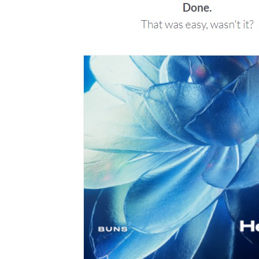 ✧・buns✧・゚ tweet media