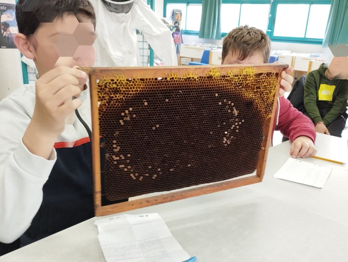 CGardonnenque's tweet photo. 🐝Semaine autour du monde des abeilles.
⁉️ Co-intervention en #EIST en 6ème (vie de la ruche, alimentation et biodiversité)
🔎Séance découverte de la ruche du collège (première visite avec les élèves, 🎦suivie en direct en visio par les #écodélégués au CDI)
#EDD #SVT #ruche https://t.co/w4DY0Su2ik