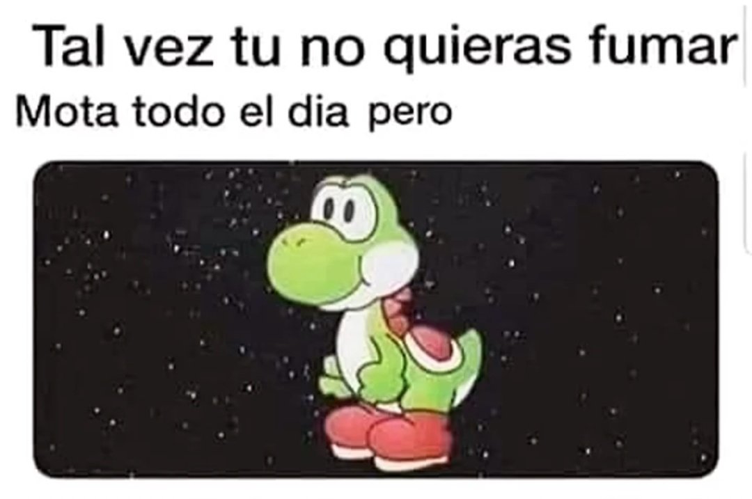 outofcontexter1's tweet image. feliz dia del arbol sagrado 🥦