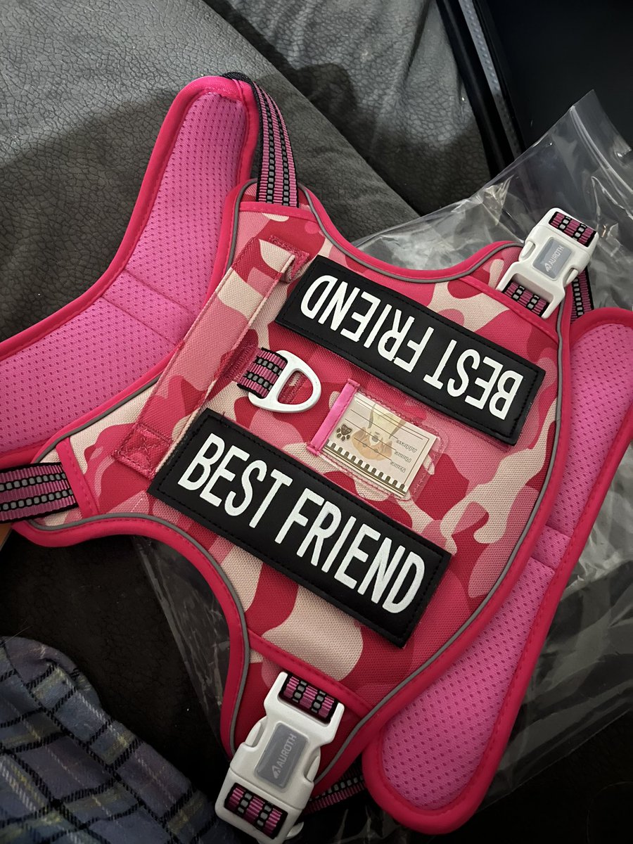 Guys…I let my almost 6 year old pick the colour of my dog’s harness. I have regrets🤣🤣🤣