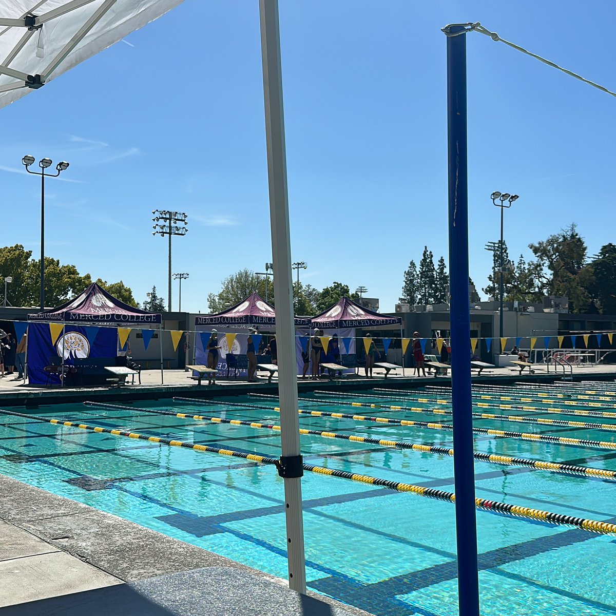 CRUSH Swim & Dive tweet media