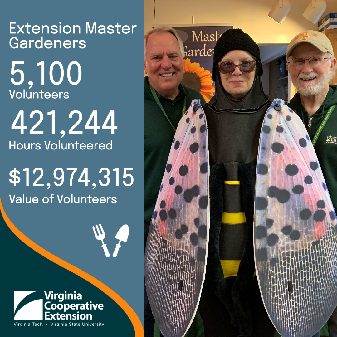 VACoopExt's tweet photo. Extension Master Gardeners are trained volunteer educators who work within their local communities to provide unbiased & research-based horticultural information to home gardeners.
@VCEMG volunteers have served communities since 1979. #NationalVolunteerWeek #EngagedExtension https://t.co/AywsKpFmRO
