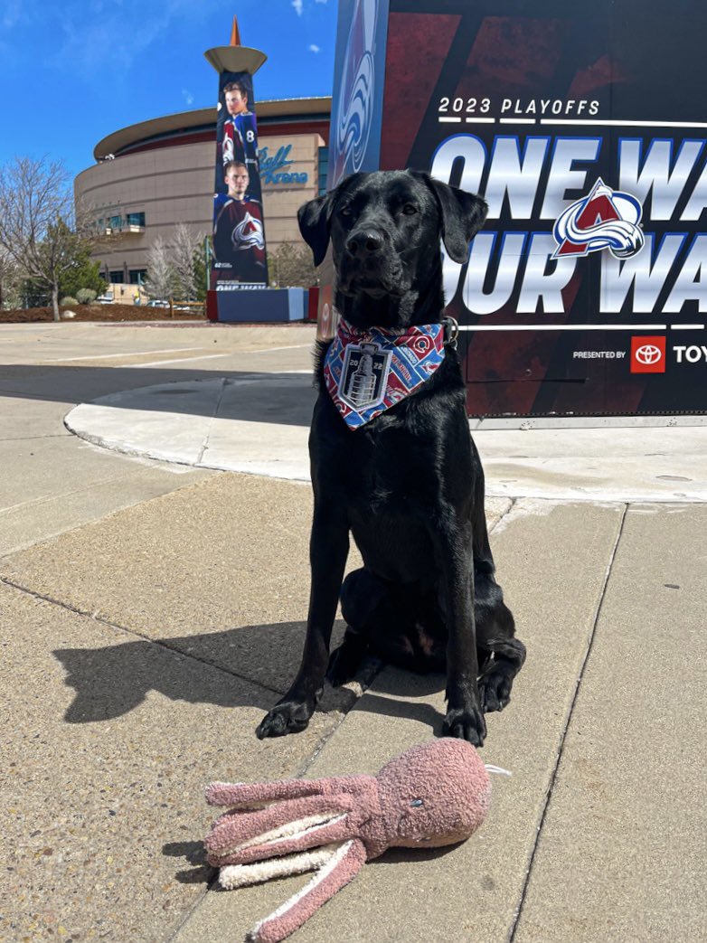 justin_coxy's tweet photo. Mikko went Kraken hunting for our game 2 good luck drive by.
#GoAvsGo #OneWayOurWay https://t.co/J7O24kQJww