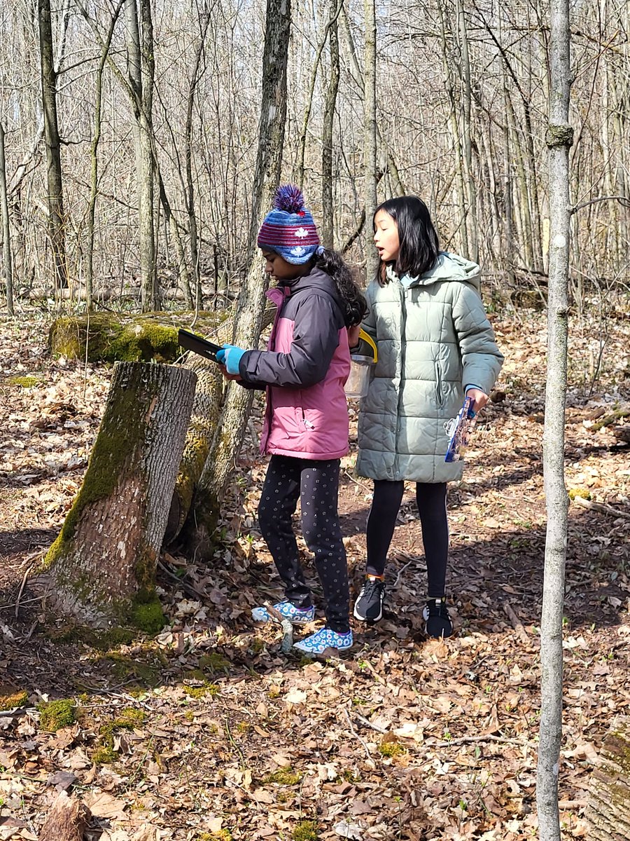 Silver Creek Outdoor Education Centre tweet media