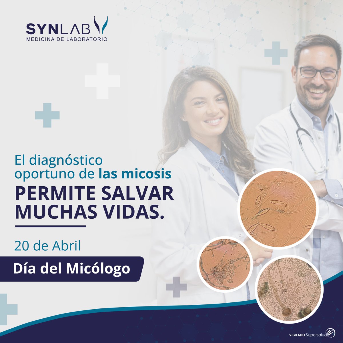 SynlabC's tweet photo. Hoy en el Día mundial del Micólogo, te indicamos que en SYNLAB contamos con el centro especializado en micología que ponemos al servicio para la identificación oportunamente de las enfermedades y de la misma manera ayudar con un tratamiento efectivo. #diadelmicologo #SYNLAB https://t.co/C0j5rdXwD6